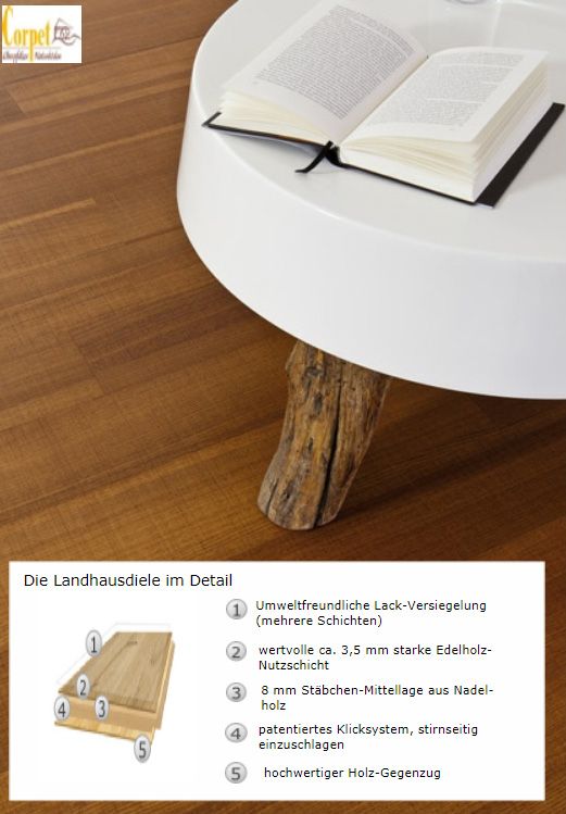 Die Fussbodentechnik Michael Friedrichs OHZ Dielen